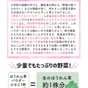 離乳食 ベビーフード セット 5ヶ月 野菜パウ...の詳細画像5