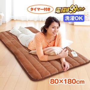 Panasonic（パナソニック） DC-15NKB1-C (ベージュ) 1.5畳相当着せ替え