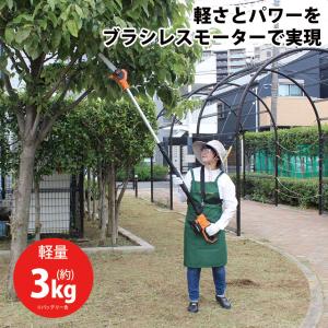 チェーンソー 高枝 24V 充電式 YARDF...の詳細画像1
