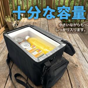 車載用保冷温バッグ 5L【RA-RS5】 車載...の詳細画像4