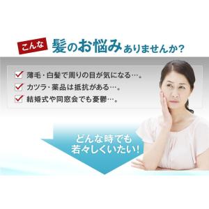 薄毛隠し 白髪隠し ケース付き はげ隠し つむ...の詳細画像1