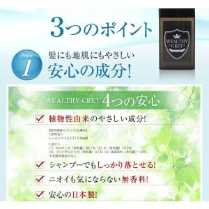 薄毛隠し 白髪隠し ケース付き はげ隠し つむ...の詳細画像3