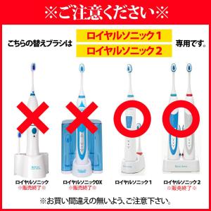 【1、2対応】 【10本セット】 ロイヤルソニ...の詳細画像1