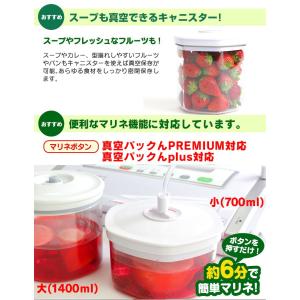 真空パックん plus キャニスター 大小セッ...の詳細画像1