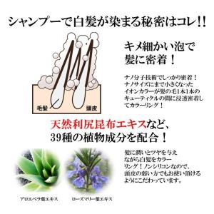 シャンプー 白髪染め 白髪染めシャンプー 2本...の詳細画像1