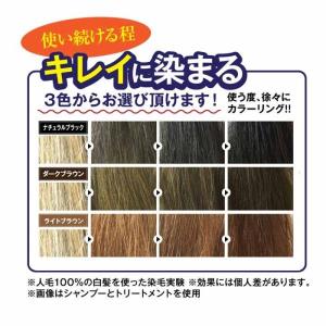 シャンプー 白髪染め 白髪染めシャンプー 2本...の詳細画像2