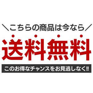 電子辞書 高校生 キヤノン 中学 中学生 大学...の詳細画像4