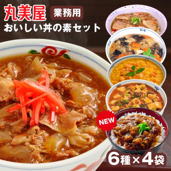 レトルト食品 丼 24袋セット 詰め合わせ 丸美屋 牛丼 中華丼 麻婆丼 塩カルビ丼 炭火焼き風とり...