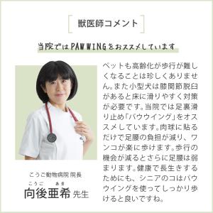 滑り止め 犬 ペット 肉球 シール 48枚 ＼...の詳細画像4