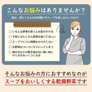 乾燥野菜 国産 乾燥野菜ミックス ドライベジタ...の詳細画像2