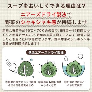 乾燥野菜 国産 乾燥野菜ミックス ドライベジタ...の詳細画像5