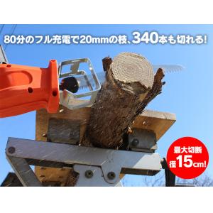 高枝切り のこぎり 電動 充電式 軽い 高枝 ...の詳細画像2