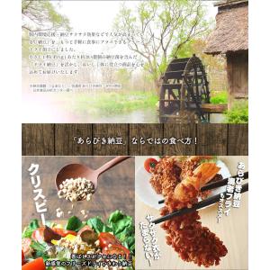 フリーズドライ納豆 粗挽き ドライ納豆 ひきわ...の詳細画像2