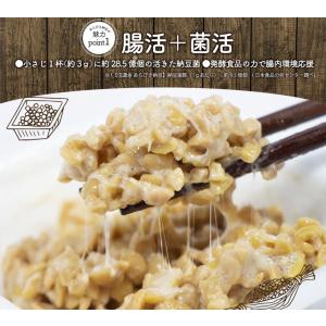 フリーズドライ納豆 粗挽き ドライ納豆 ひきわ...の詳細画像4