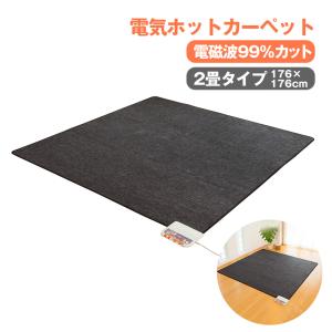 ゼンケン 電磁波99％カット 電気ホットカーペット 2畳 カバーセット