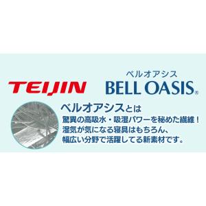 除湿剤 帝人 テイジン teijin ベルオア...の詳細画像2