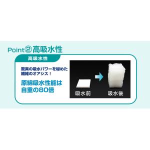 除湿剤 帝人 テイジン teijin ベルオア...の詳細画像4