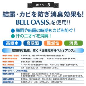 乾っとデオケースライト 収納ケース 2025 ...の詳細画像5