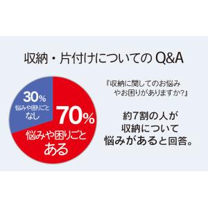 テイジン 乾っとデオケース フィット BOX ...の詳細画像1