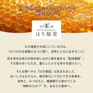 はちみつ 蜂蜜 国産 ハチミツ 純粋 非加熱 ...の詳細画像2