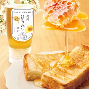 はちみつ 蜂蜜 国産 ハチミツ 純粋 非加熱 ...の詳細画像1