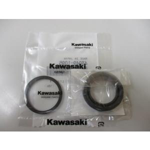 カワサキ（Kawasaki） 送料無料 KA-1300 カワサキ純正 Z400FX ポイント