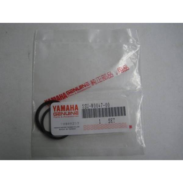 送料無料★新品★グランドアクシス１００（５ＦＡ，６，７）★純正キャリパーシールセット