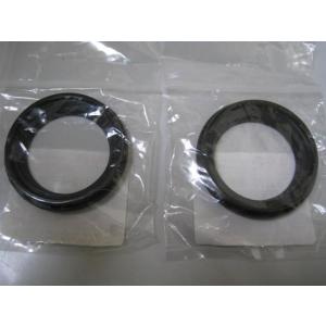 スズキ（SUZUKI） イナズマ400(GK7BA) フロントフォークオーバーホール