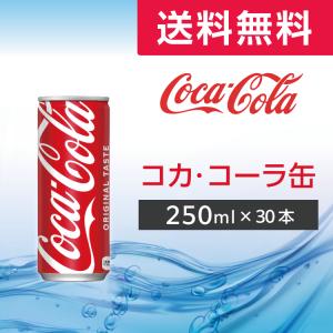 ドクターペッパー コカコーラ 500mlペットボトル×24本入 メーカー直送