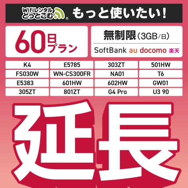 【延長専用】 無制限（3GB/日）60日プラン FS030W E5785 501HW WN-CS30...
