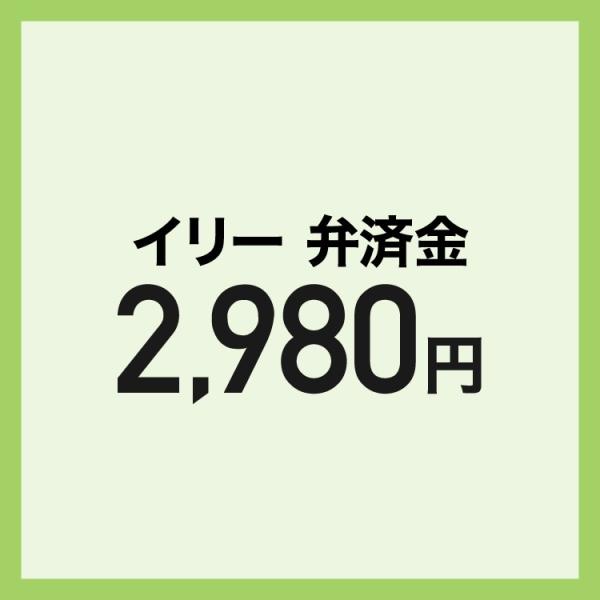 【弁済金】  翻訳機 ili本体