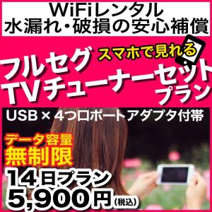 ポケットwifi レンタル 14日 無制限 即日発送 E5383 送料無料 Wi-Fiレンタル 空港...