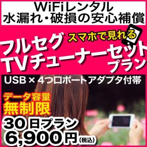 ポケットwifi レンタル 30日 無制限  E5383  Wi-Fiレンタル