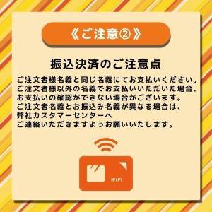 【延長専用】 無制限(10GB/日)60日プラ...の詳細画像3