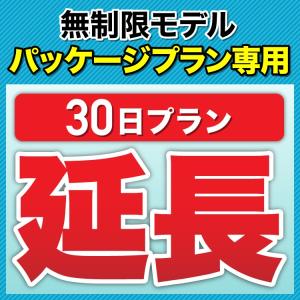 【延長専用】 wifi レンタル 延長 セットプラン専用 30日延長 wifiレンタル レンタルwifi 入院パック クレードルセット｜wifi-rental