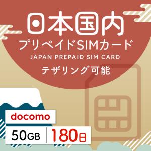 プリペイドsim 日本通信 simカード 日本通...の商品画像