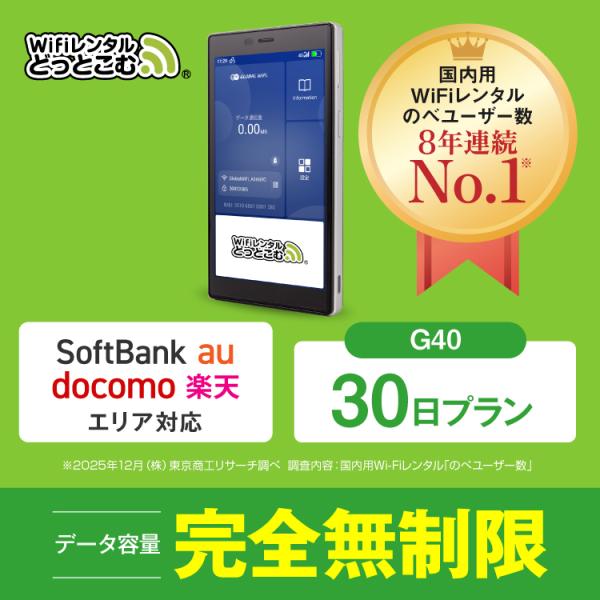 ポケットwifi レンタル 30日 無制限 レンタルwifi 30日 無制限 wifi レンタル 3...