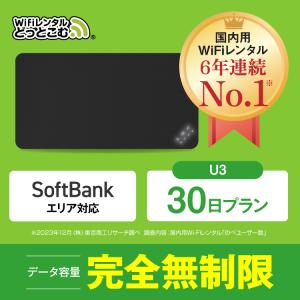 ポケットwifi レンタル 1ヵ月 無制限 レンタルwifi 30日 無制限 wifi レンタル 30日 完全無制限　ソフトバンク U3｜wifi-rental