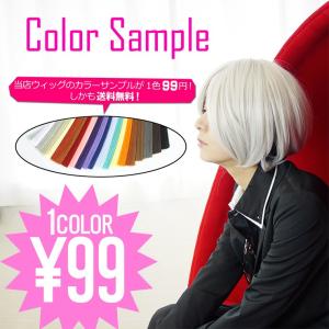 メール便送料無料 ウィッグカラーサンプル カラーチャート : ウィッグ