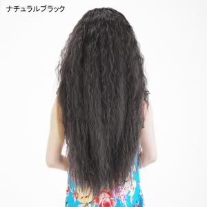 ウィッグ フラダンス フラソバージュハーフウィ...の詳細画像2