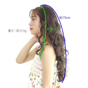 ウィッグ フラダンス なみなみロングハーフウィ...の詳細画像1