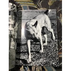 中古 別冊 記録 第1号 森山大道 × 沢渡朔...の詳細画像5