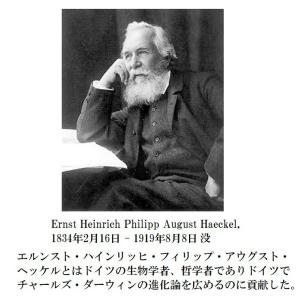 エルンスト ヘッケル 進化論 芸術的形態 哲学...の詳細画像1