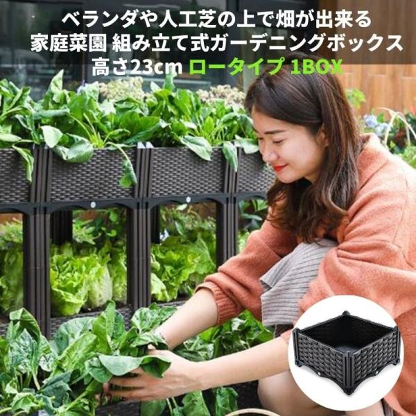 ガーデニングボックス ガーデングボックス 組み立て式 植木鉢 プランターボックス フラワースタンド ...