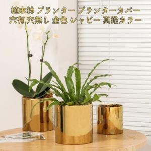 ゴールド鉢カバーM : 花郷園 KAGOEN NURSERY - 通販 - Yahoo!ショッピング