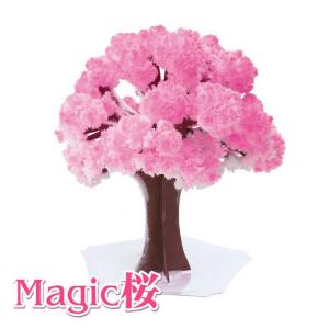 Magic桜 マジックさくら まじっくさくら プチギフト パーティーグッズ