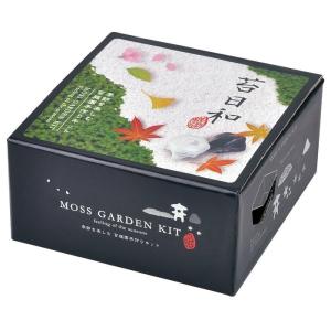 苔日和 スナゴケ栽培キット 苔庭園栽培セット 観葉植物 ガーデニング 聖新陶芸 ギフト プレゼント