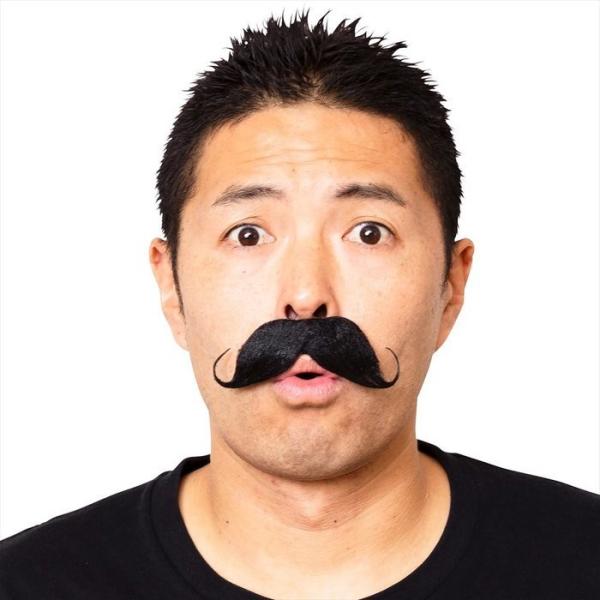 宴会の達人 画家のひげ 黒 変装 おもしろグッズ おもしろ雑貨 サルバトーレ・ダリ