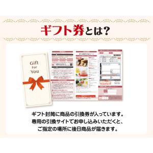 カタログギフト券 銀座千疋屋プレミアムアイス ...の詳細画像2