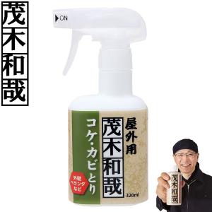 茂木和哉 コケ・カビとりスプレー C00399 コケ取り こけ取り